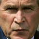 Illustration for article titled Fuck George Bush and His Stupid Fucking Cat Paintings